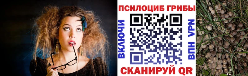 Псилоцибиновые грибы ЛСД  kraken ТОР  Южно-Сахалинск 
